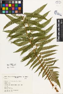 SW_BNB_s3080-02397_IMG-0000000001