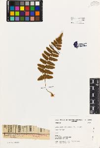 SW_BNB_s3080-02398_IMG-0000000001