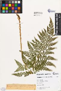 SW_BNB_s3080-02404_IMG-0000000001
