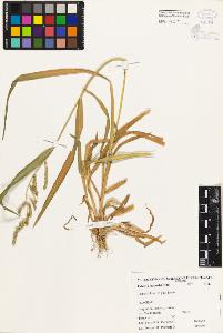 SW_BNB_s3080-02412_IMG-0000000001