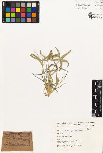 SW_BNB_s3080-02424_IMG-0000000001