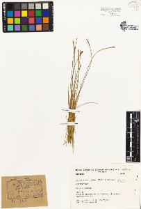 SW_BNB_s3080-02430_IMG-0000000001