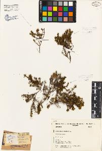 SW_BNB_s3080-02432_IMG-0000000001