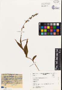 SW_BNB_s3080-02451_IMG-0000000001