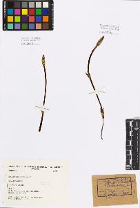SW_BNB_s3080-02461_IMG-0000000001