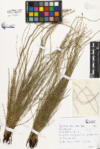 SW_BNB_s3080-02471_IMG-0000000001