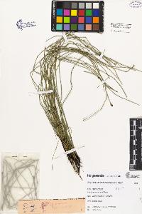 SW_BNB_s3080-02473_IMG-0000000001