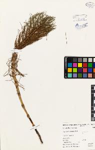 SW_BNB_s3080-02481_IMG-0000000001