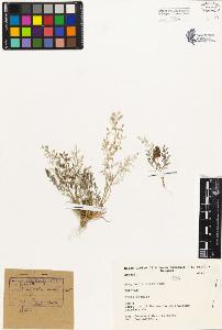 SW_BNB_s3080-02482_IMG-0000000001