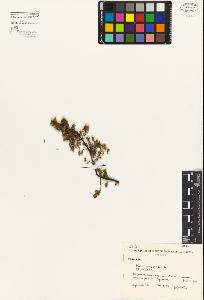 SW_BNB_s3080-02484_IMG-0000000001