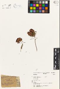 SW_BNB_s3080-02488_IMG-0000000001