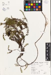 SW_BNB_s3080-02489_IMG-0000000001