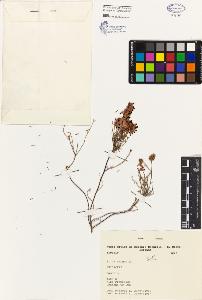 SW_BNB_s3080-02490_IMG-0000000001