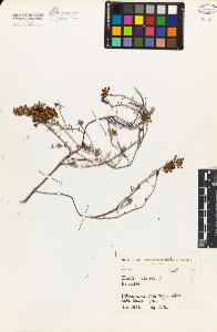 SW_BNB_s3080-02491_IMG-0000000001