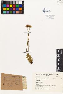 SW_BNB_s3080-02494_IMG-0000000001