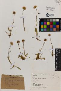 SW_BNB_s3080-02497_IMG-0000000001