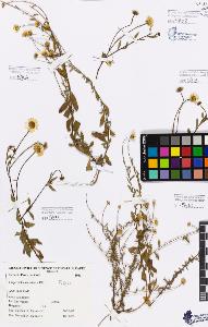 SW_BNB_s3080-02501_IMG-0000000001