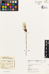 SW_BNB_s3080-02502_IMG-0000000001