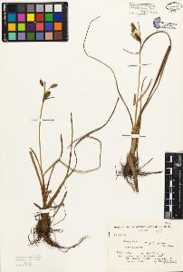 SW_BNB_s3080-02504_IMG-0000000001