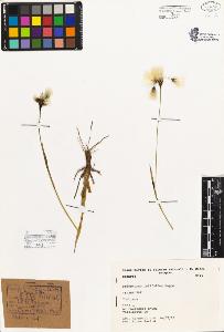 SW_BNB_s3080-02505_IMG-0000000001