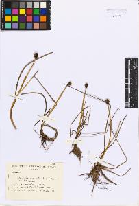 SW_BNB_s3080-02507_IMG-0000000001
