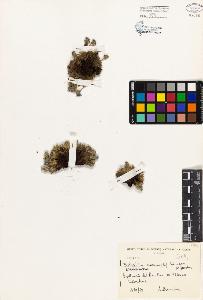 SW_BNB_s3080-02510_IMG-0000000001