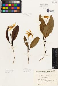 SW_BNB_s3080-02515_IMG-0000000001