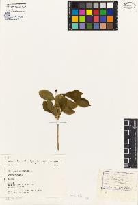 SW_BNB_s3080-02520_IMG-0000000001