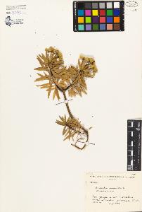 SW_BNB_s3080-02546_IMG-0000000001