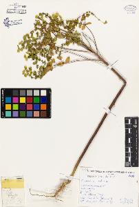SW_BNB_s3080-02570_IMG-0000000001
