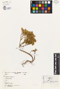 SW_BNB_s3080-02571_IMG-0000000001