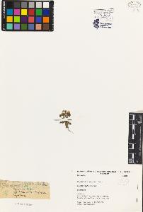 SW_BNB_s3080-02583_IMG-0000000001