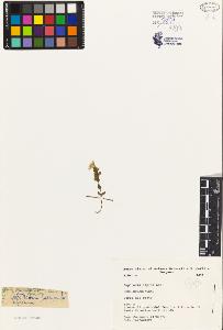 SW_BNB_s3080-02584_IMG-0000000001