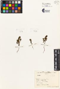 SW_BNB_s3080-02589_IMG-0000000001