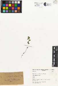 SW_BNB_s3080-02591_IMG-0000000001
