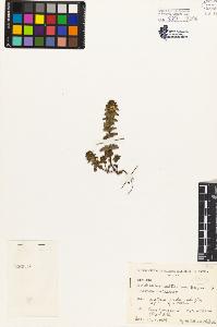 SW_BNB_s3080-02595_IMG-0000000001