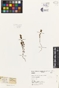SW_BNB_s3080-02599_IMG-0000000001