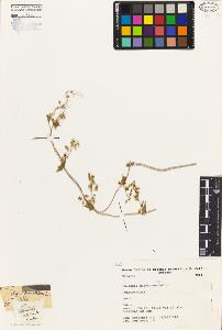SW_BNB_s3080-02605_IMG-0000000001