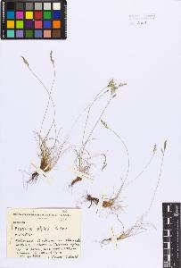 SW_BNB_s3080-02608_IMG-0000000001
