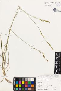SW_BNB_s3080-02610_IMG-0000000001
