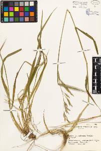 SW_BNB_s3080-02611_IMG-0000000001