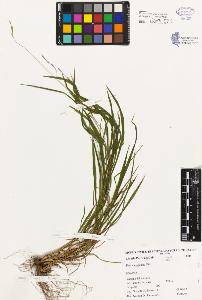 SW_BNB_s3080-02617_IMG-0000000001
