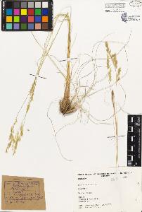 SW_BNB_s3080-02622_IMG-0000000001
