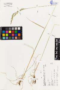 SW_BNB_s3080-02624_IMG-0000000001