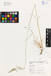 SW_BNB_s3080-02627_IMG-0000000001