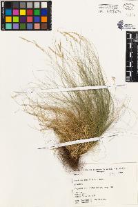 SW_BNB_s3080-02628_IMG-0000000001