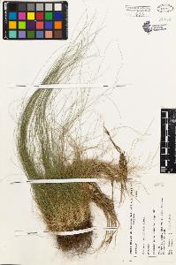 SW_BNB_s3080-02631_IMG-0000000001