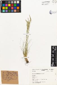 SW_BNB_s3080-02632_IMG-0000000001