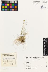 SW_BNB_s3080-02633_IMG-0000000001