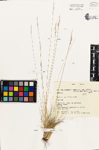 SW_BNB_s3080-02634_IMG-0000000001